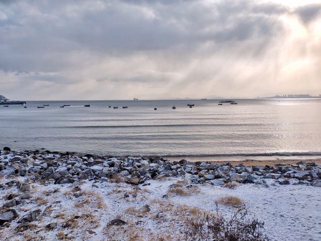 冬日清晨，在海邊虞美人廣場踏雪