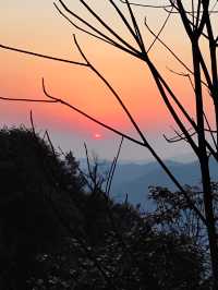 太驚艷了！住進了畫裏！