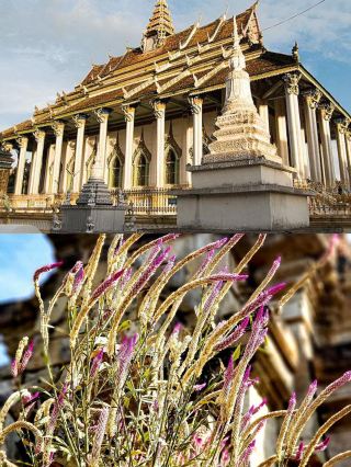 A Dreamy Trip to Battambang: A 3-Day Time Travel Guide to Cambodia