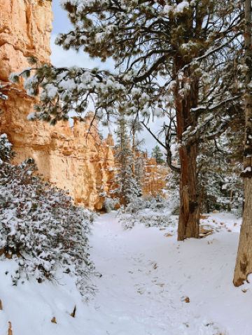 13日橫貫美國 超詳細攻略來襲