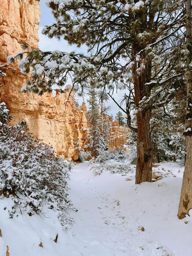 13-Day USA Road Trip: Detailed Guide