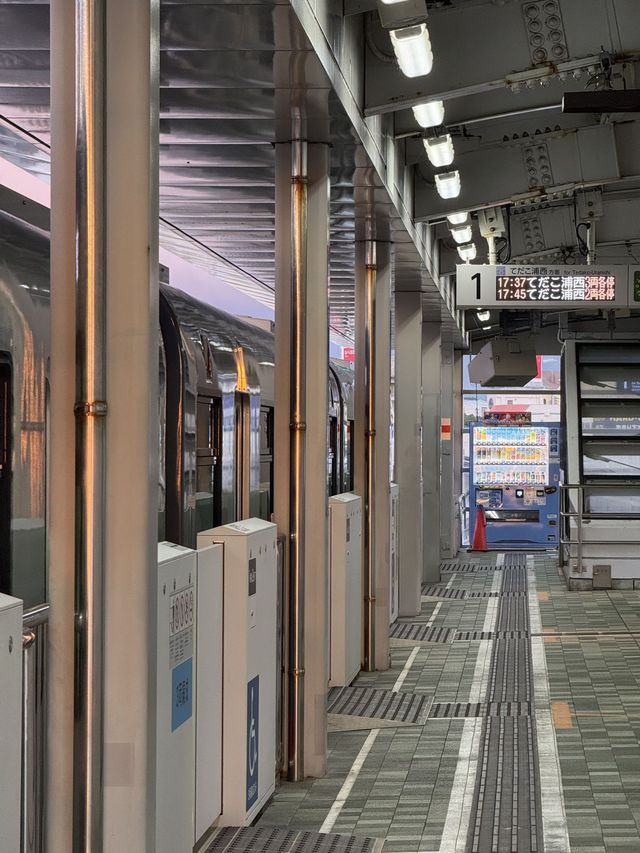 帶你走進日本：5日探秘之旅完整攻略