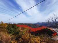 韓城香山紅葉|出彩的山景