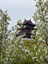 4日探秘南海禪寺-嵖岈山 超全攻略帶你玩轉熱門風景