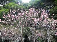 福州西湖公園