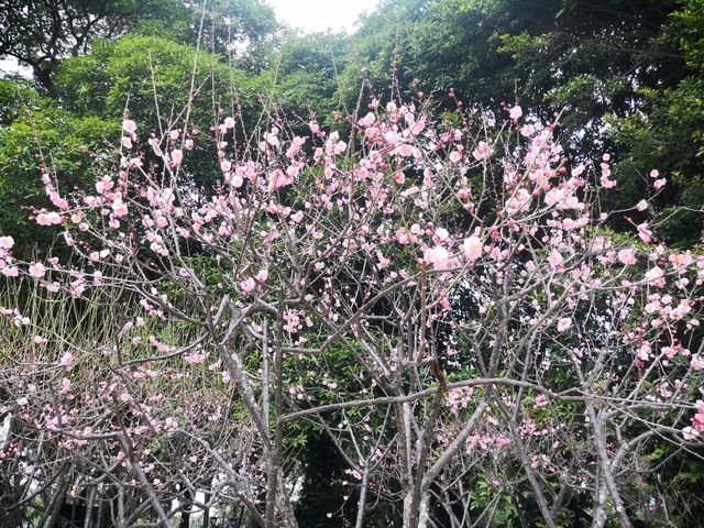 福州西湖公園