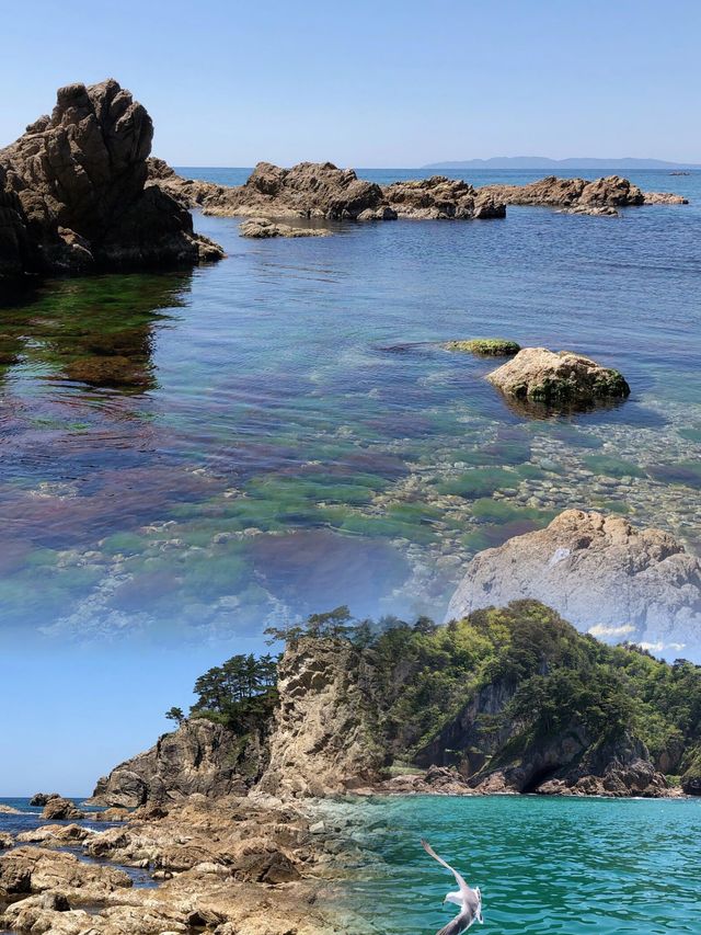 被日本本地人私藏嘅新潟小眾寶藏旅行地