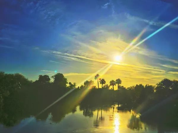 Explore the Phoenix Zoo: A Day of Adventure and Wildlife