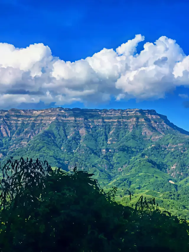 12-Day South Africa Tour: A Detailed Guide You Can't Miss