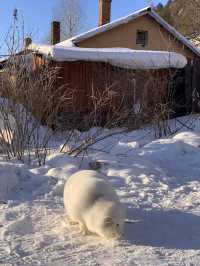牡丹江滑雪攻略不看後悔系列