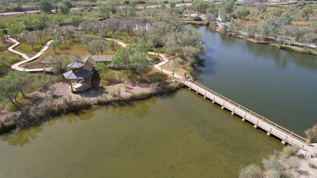 南北疆自駕遊（12）戈壁明珠-澤普金胡楊國家森林公園