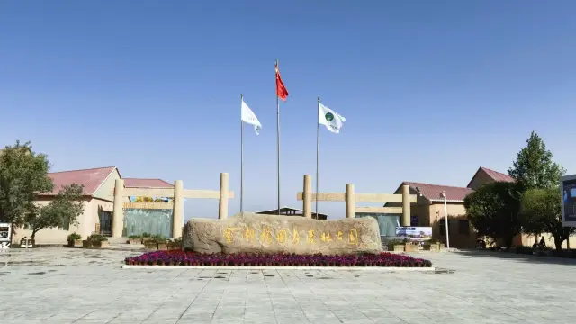 南北疆自駕遊（12）戈壁明珠-澤普金胡楊國家森林公園
