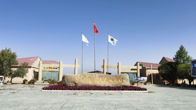 南北疆自駕遊（12）戈壁明珠-澤普金胡楊國家森林公園