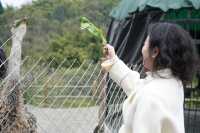 雅安周公山｜村民們的天然溫泉