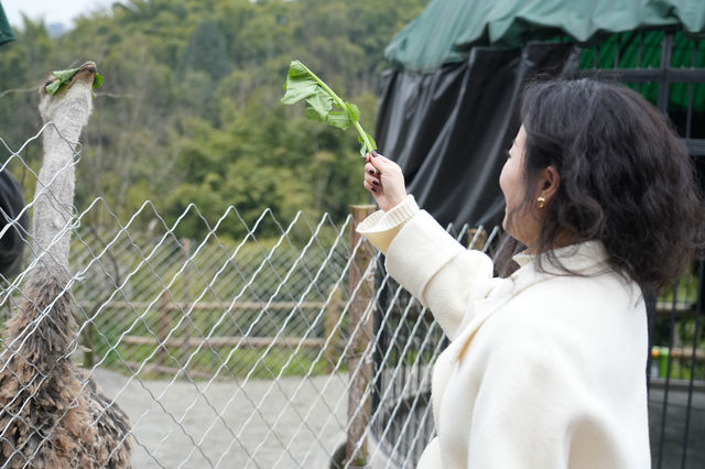 雅安周公山｜村民們的天然溫泉