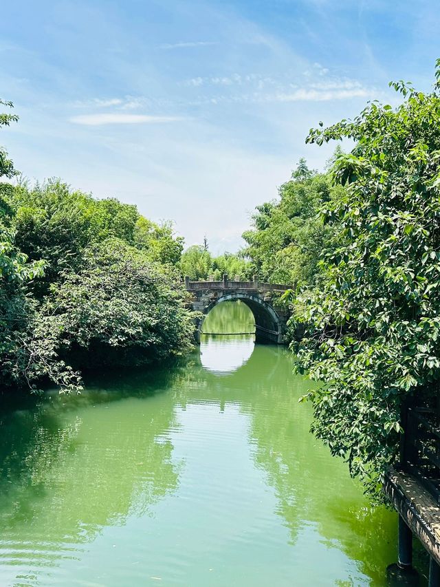 杭州-烏鎮-西塘3日遊 看這篇攻略就夠了