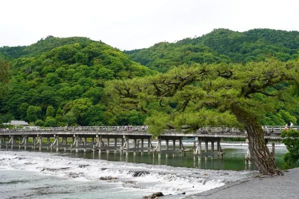 秋の訪れと共に、渡月橋での思い出