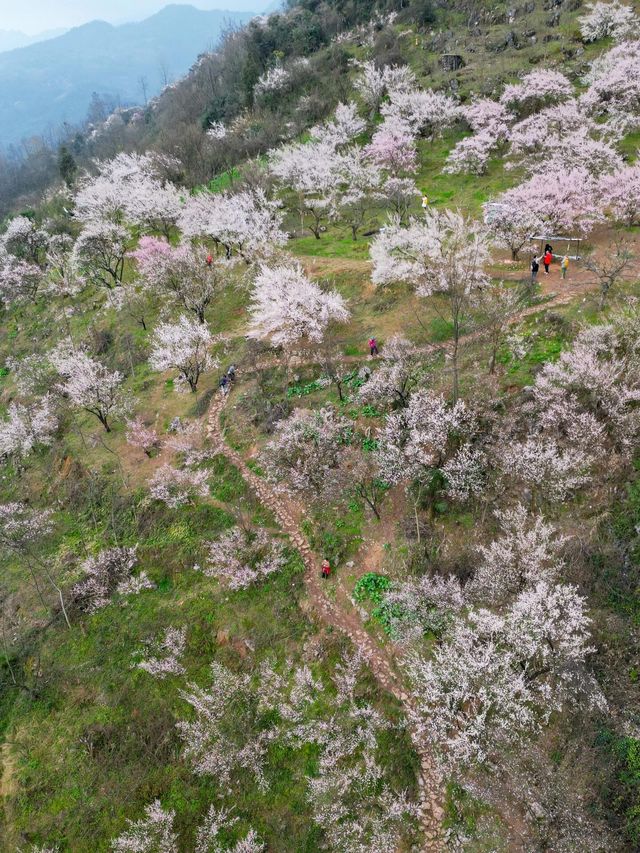 成都周邊遊