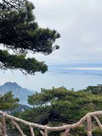 寒假3日九江遊 冬日玩轉九江建議收藏