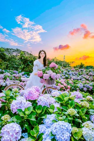 9個女生花海拍照姿勢｜洗版朋友圈的仙女秘笈！