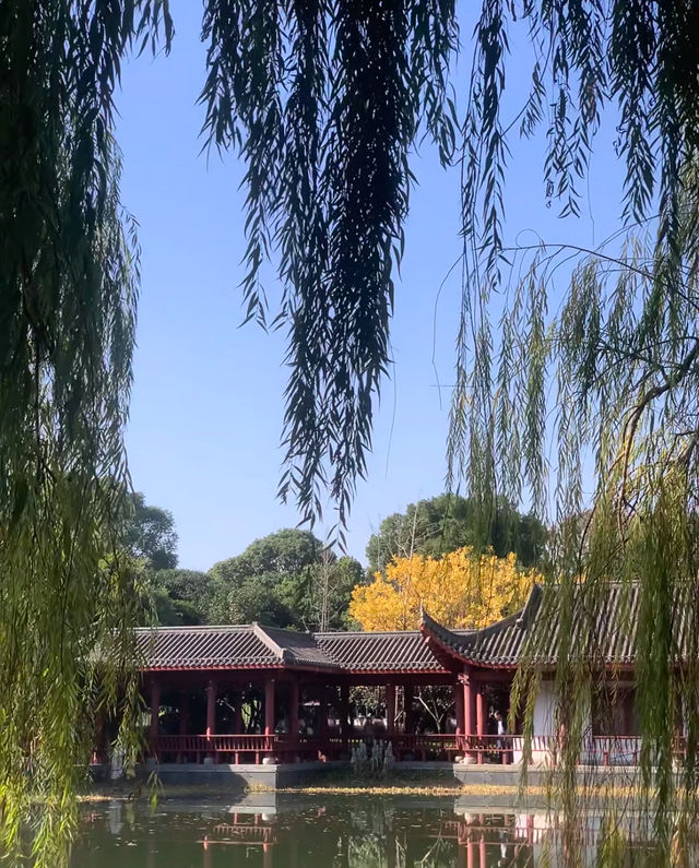三天兩夜長沙站！太好吃了！