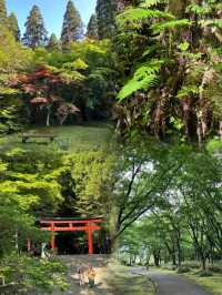 闖進宮崎駿的畫中世界！日本霧島市超絕旅遊攻略