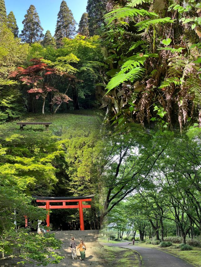 闖進宮崎駿的畫中世界！日本霧島市超絕旅遊攻略
