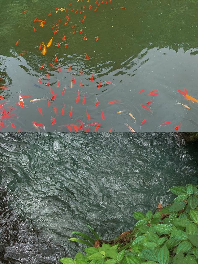 亞木溝，銅仁嘅秘境，你絕對唔可以錯過嘅風景
