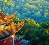 雲南昆明晉寧盤龍寺