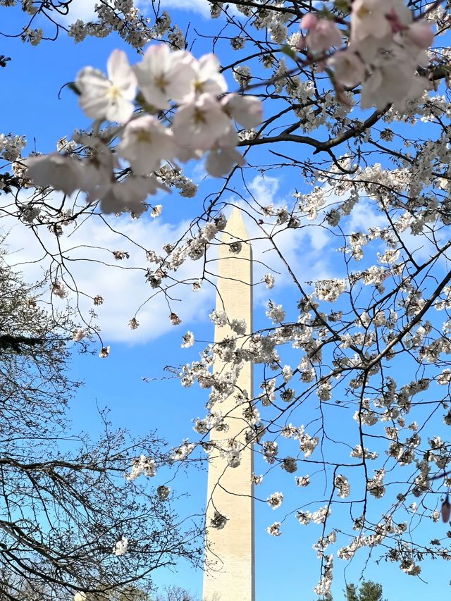 美國13日遊 老友歡聚暢遊攻略