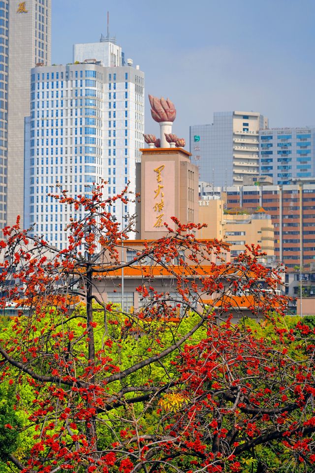 3.11實拍國畫裡的春色滿園關不住