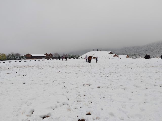 雪後的玉湖村，仿如童話世界