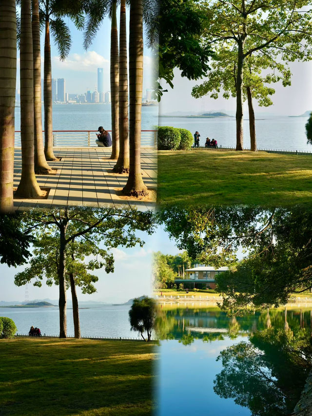 不去擠鼓浪嶼，我在滄海灣看到了人生海海