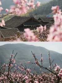 玉林桃源，土地平曠，屋舍儼然，有良田！