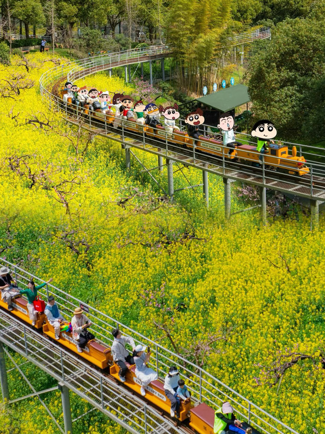 唔係婺源，喺湖州小火車駛過嘅油菜花海