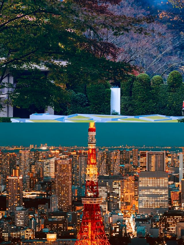 度假天花板