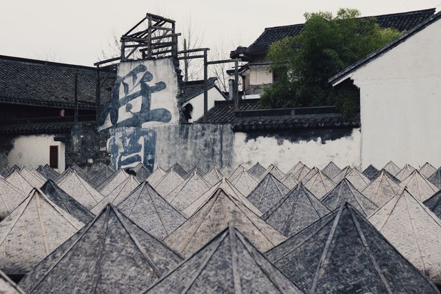 嘉興沈蕩｜點解個個都話伏？我覺得幾好