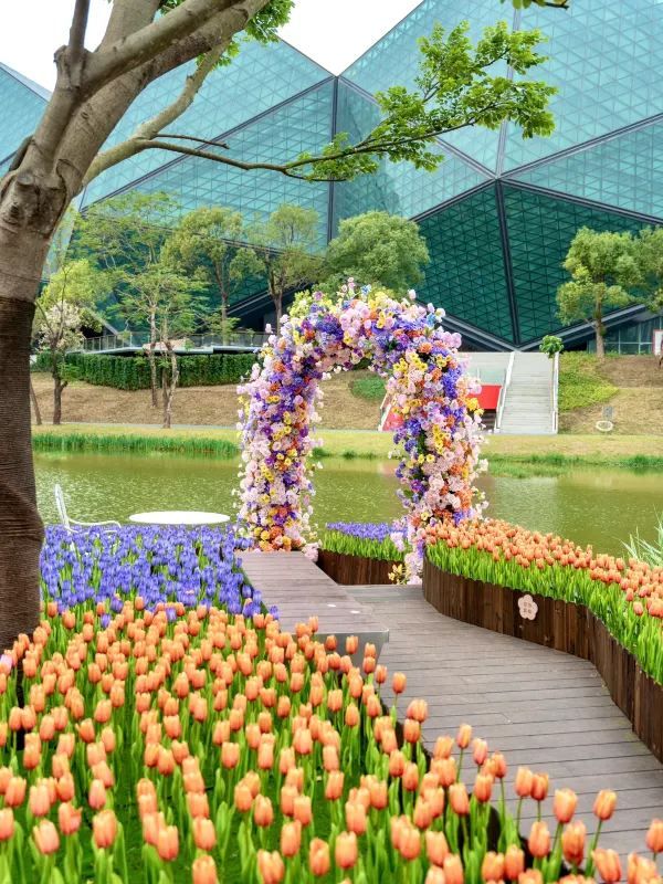 深圳春天！就是一個巨大的莫奈花園💐附路線！