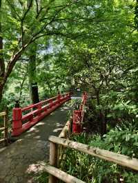 東京靜謐綠洲・椿山莊酒店