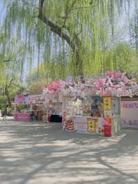 Cherry blossoms at Yuyuan Park Beijing