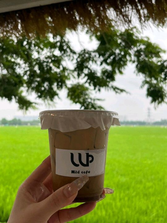 中山崖口居然藏了間田園咖啡店！一秒闖入宮崎駿動畫裡🌾