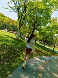共青森林公園露營 |春日戶外好去處！