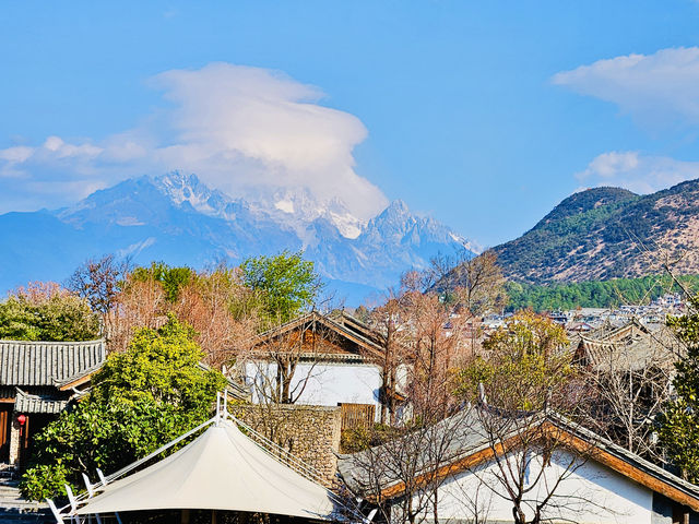 麗江 玉龍雪山 入住金茂璞修雪山酒店