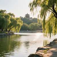 超輕鬆！景山公園一日遊寶藏路線大公開