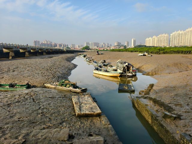 中國四大名橋之一｜洛陽橋（3012）