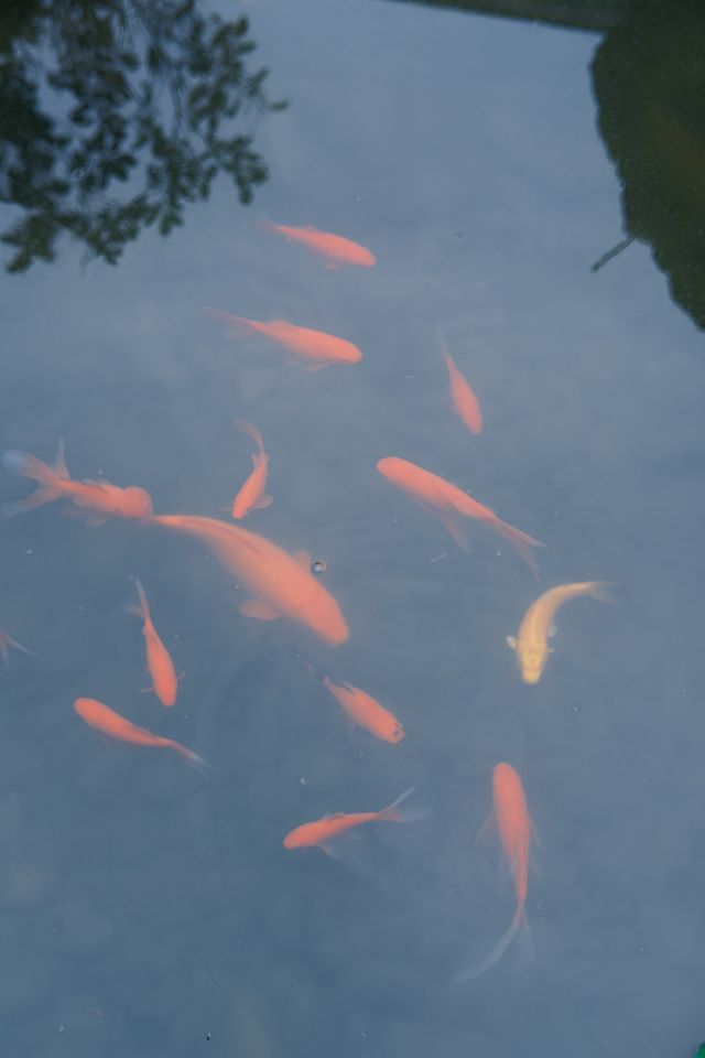 福州羅源｜慶雲禪寺一遊