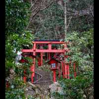 🐸【福岡清影山如意輪寺｜被一萬隻蛙蛙包圍的開運奇旅！】