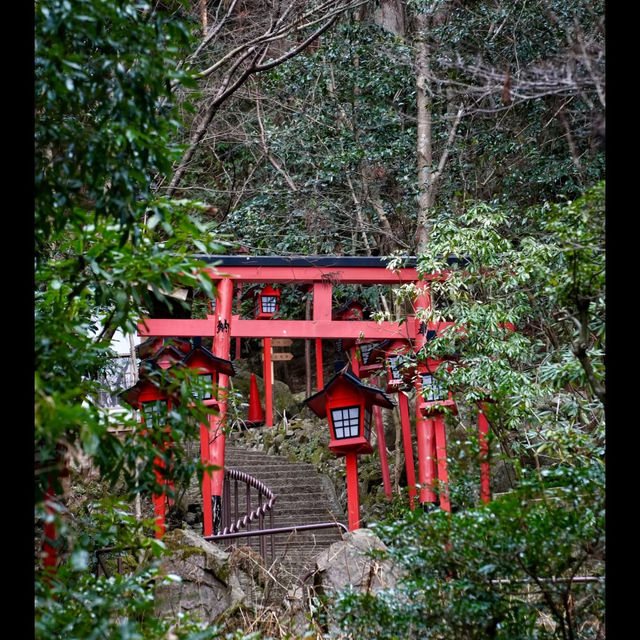 🐸【福岡清影山如意輪寺｜被一萬隻蛙蛙包圍的開運奇旅！】