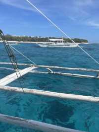 Beach Moments and ✨ Magical Whale Watching in Bohol, Philippines! 🌊