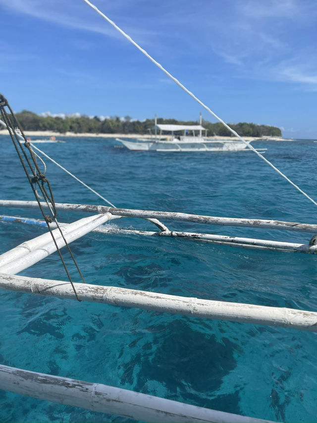 Beach Moments and ✨ Magical Whale Watching in Bohol, Philippines! 🌊